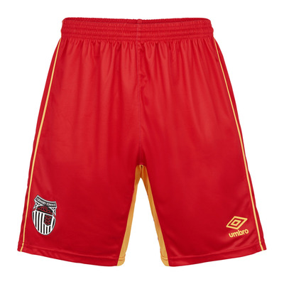 24/25 Replica Away Short Adult